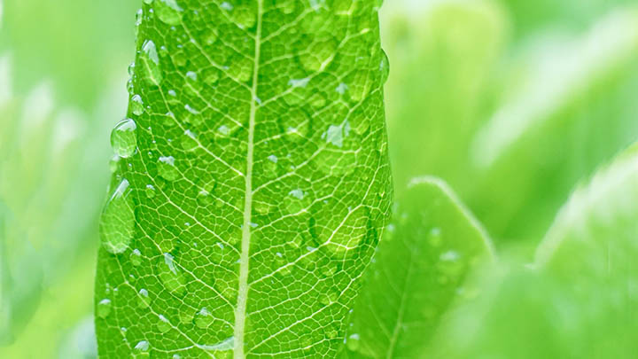 图片[2]-想要掌握金钱通解？这部电影在线观看的秘密居然是……-青裳云资料