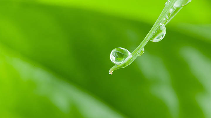 图片[2]-金钱通解纪录片唤醒了我对财富的渴望，你呢？-青裳云资料