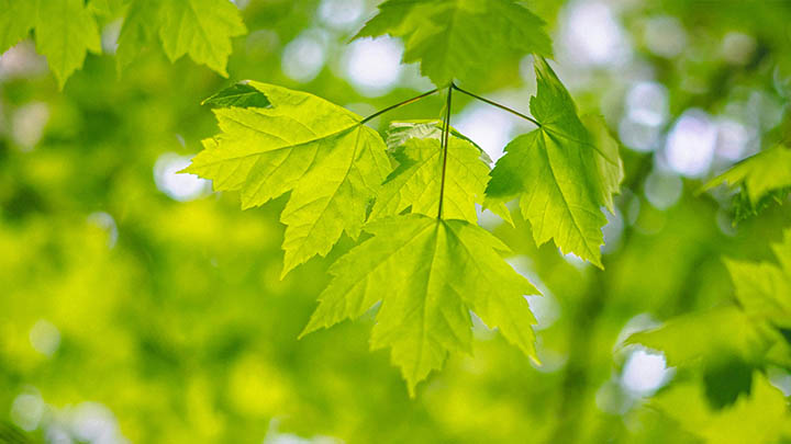 图片[2]-工作中最简单的智慧，竟然藏在每天一句话里！-青裳云资料