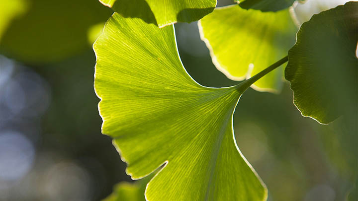 生活感悟图片大全带字，如何为你的朋友圈增添情感深度与视觉冲击力？-青裳云资料