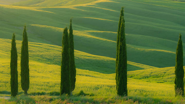 这些生活感悟文案语录简短，让你瞬间感受到人生的真谛！-青裳云资料