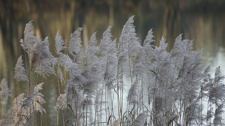 图片[2]-我用了3个月，读懂了10本家庭关系书，结果家庭聚会变成了大联欢！-青裳云资料
