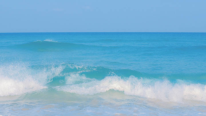 图片[2]-看完这个短视频，创业之路从此不再迷茫！-青裳云资料