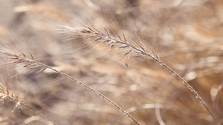图片[2]-我看完金钱通解，才知道赚钱真的不简单！-青裳云资料