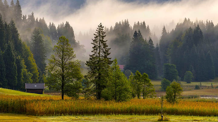 图片[2]-掌握这4个观点，轻松实现金钱与人生的和谐共赢-青裳云资料