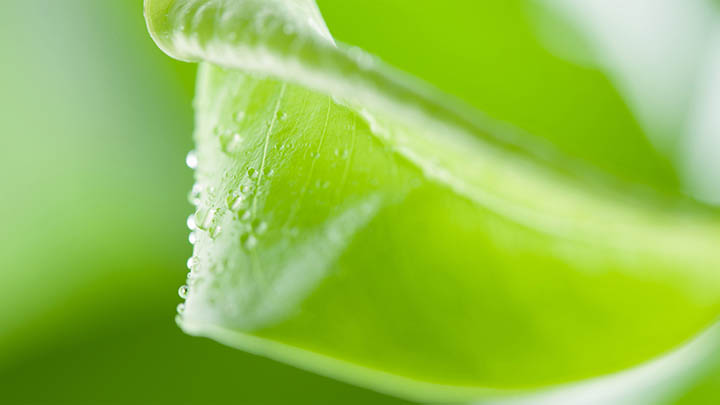 图片[2]-看完这个电影，关于金钱的真相竟然藏在这里，你知道吗？-青裳云资料