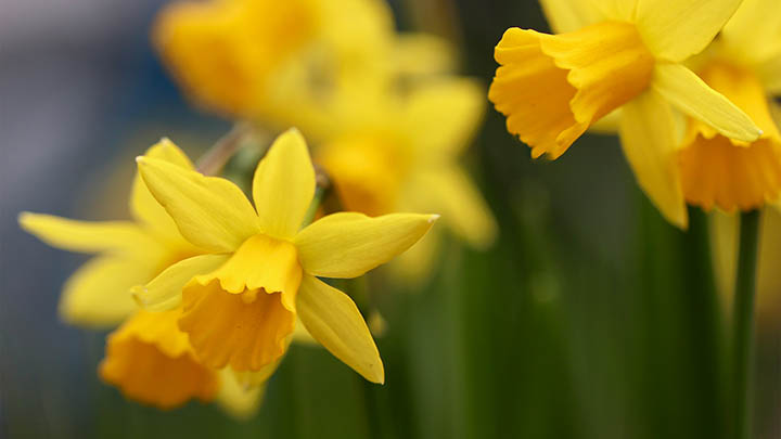 图片[2]-看完金钱的通解，你有没有对财富的理解有了全新的想法？-青裳云资料