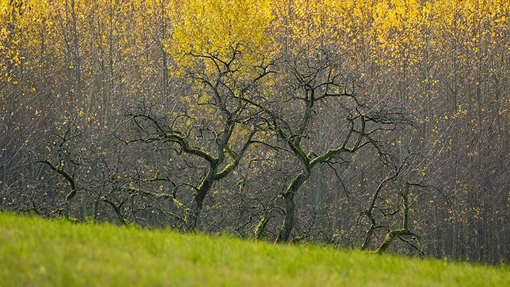 想知道金钱通解中文完整版如何改变你的财务观念吗？-青裳云资料