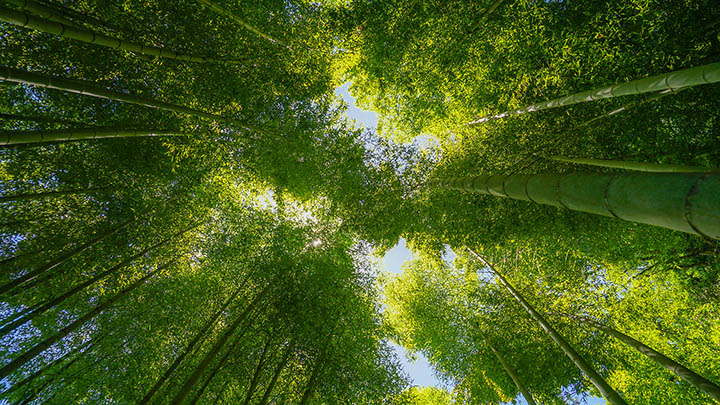 这个秘密，让你从“免费”中懂得金钱的通解！-青裳云资料