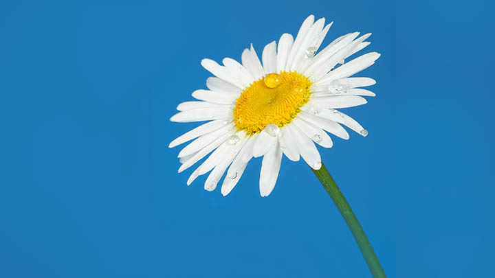 图片[2]-这个秘密，让你从“免费”中懂得金钱的通解！-青裳云资料