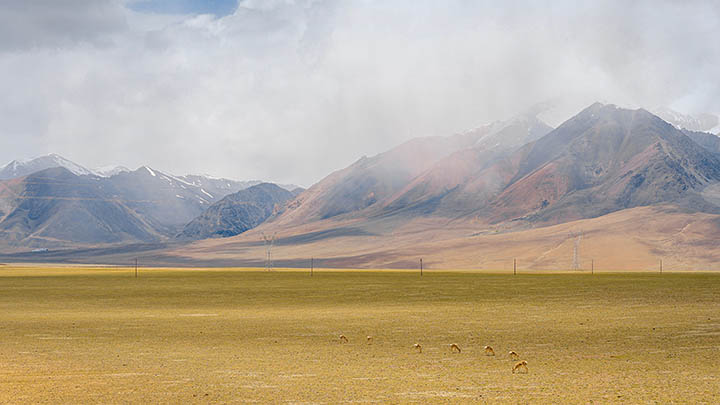看完这个金钱通解纪录片完整版，你会对财富有全新认识！-青裳云资料