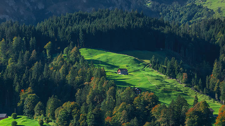 图片[2]-我看完金钱通解纪录片，它竟然揭示了我们对金钱的真实态度！-青裳云资料