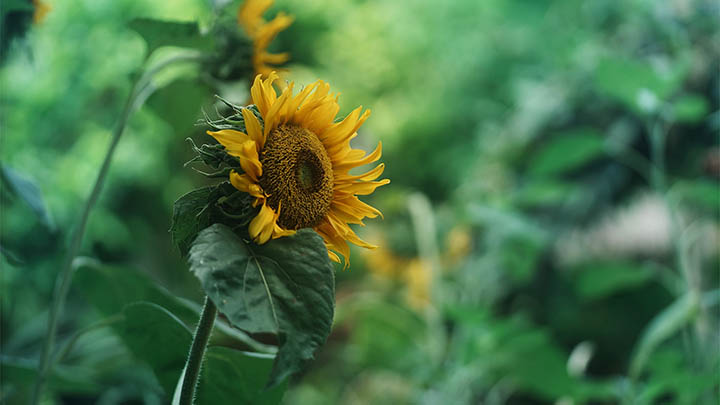 我看完金钱通解纪录片，竟然免费学到这些理财秘诀！-青裳云资料
