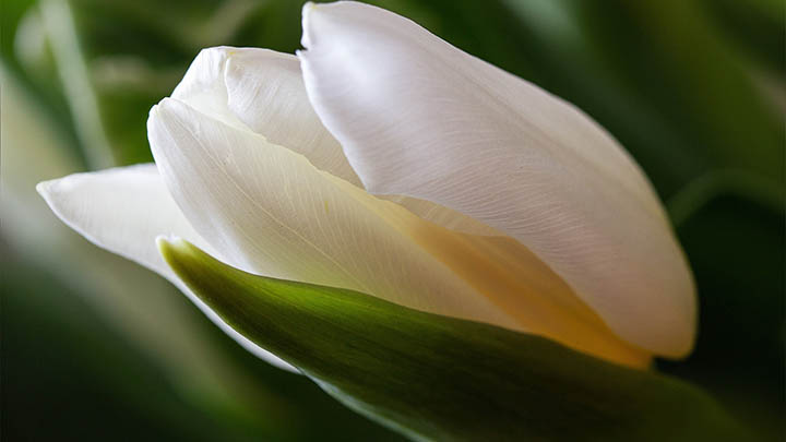 想要理解电影金钱通解中的深意?这几个秘密绝对让你大开眼界!-青裳云资料