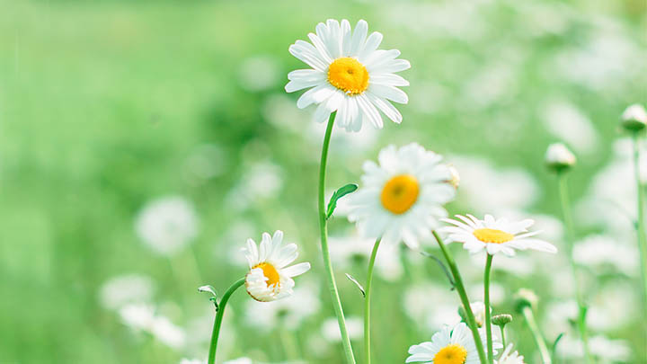 图片[2]-想要理解电影金钱通解中的深意？这几个秘密绝对让你大开眼界！-青裳云资料