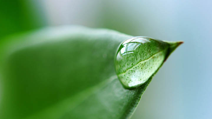 图片[2]-金钱的通解电影免费观看，背后隐藏的真相让人震惊！-青裳云资料