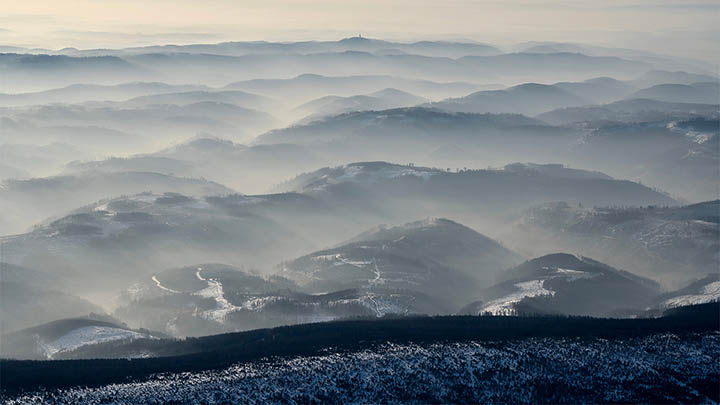 金钱通解纪录片完整版真的值得一看吗？这里有你不知道的真相！-青裳云资料