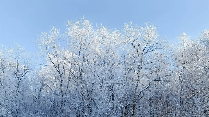 看完金钱的解释，你会对生活中的消费惊出一身冷汗吗？-青裳云资料