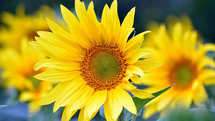 看完金钱通解，你是否也被这些真相震撼到？-青裳云资料