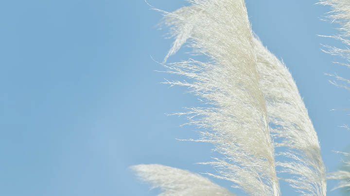 图片[2]-想了解“金钱通解”的秘诀？免费获取国语版，让你轻松掌握财务智慧！-青裳云资料