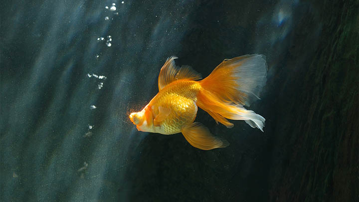 图片[2]-看完金钱通解电影中文版，教你这样轻松理解财富与人生！-青裳云资料