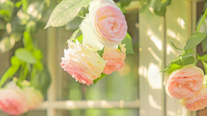 图片[2]-面对金钱困扰的人，来看看这本解读金钱的秘籍！-青裳云资料