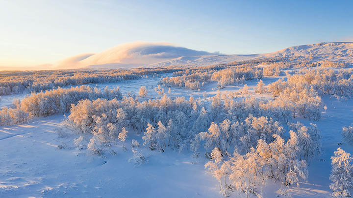 我用金钱通解中文版，竟然破解了投资难题！-青裳云资料