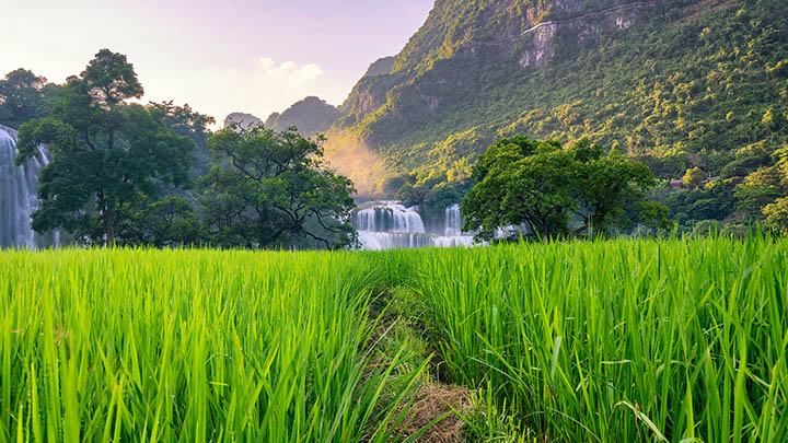 透过金钱的通解，揭秘财富与生活的关系，如何让你的钱包与心灵共鸣！-青裳云资料