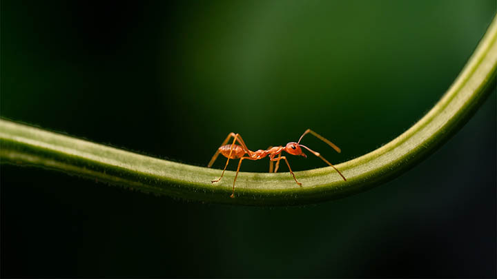 想了解金钱背后的秘密？金钱通解电影告诉你真相！-青裳云资料