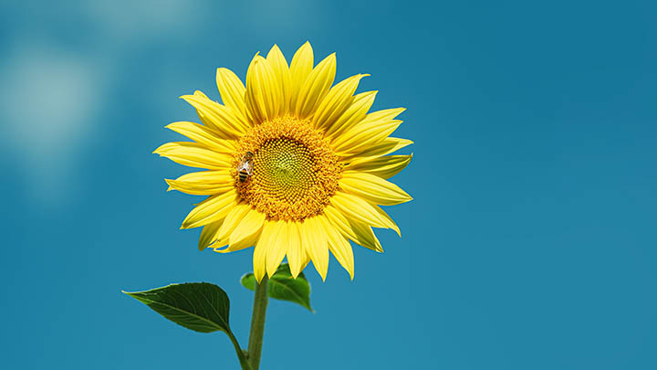 图片[2]-电影金钱的通解免费播放，你准备好一起探讨财富与价值吗？-青裳云资料