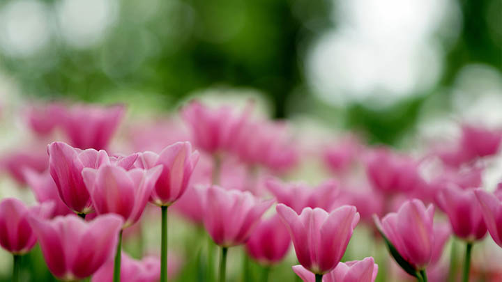 图片[2]-金钱的通解在线观看完整版，掌握理财秘诀的关键你了解吗？-青裳云资料