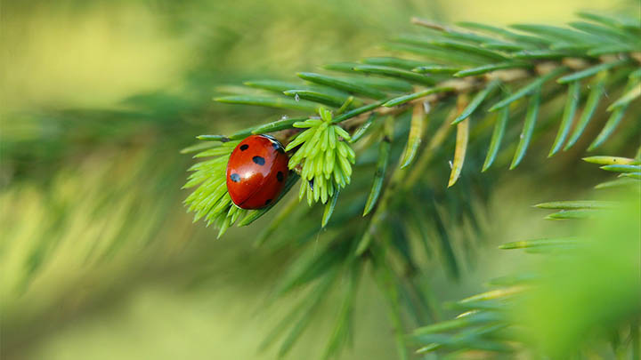 我花了一个下午,终于找到了金钱通解完整版国语在线观看的方法!-青裳云资料
