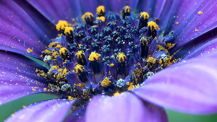 图片[2]-想看金钱通解完整版国语？这几个步骤帮你轻松搞定在线观看！-青裳云资料