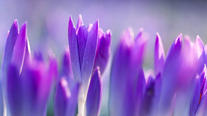 图片[2]-你还在纠结金钱通解电影哪里看？快来这里寻找最全的观看指南！-青裳云资料