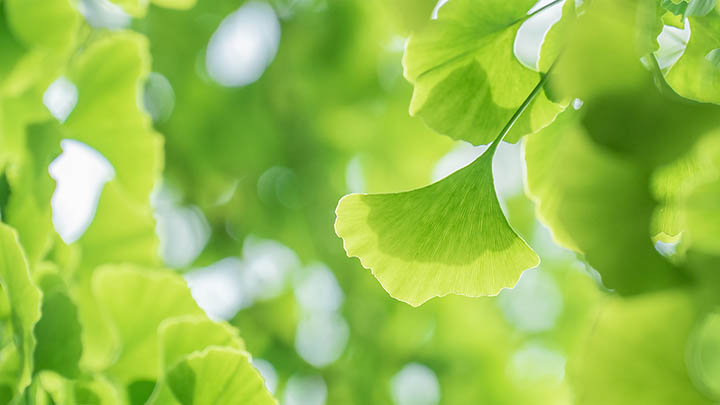 揭秘俄罗斯综艺通灵之战，看这场神秘对决如何撼动娱乐圈！-青裳云资料