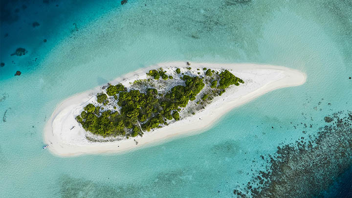 图片[2]-通灵之战究竟能否掀起2025年的综艺热潮？-青裳云资料