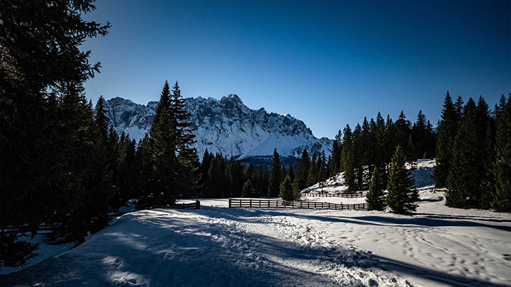 图片[2]-通灵之战朱莉王，背后隐藏的秘密你知道吗？-青裳云资料