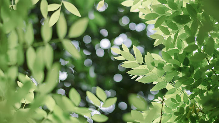 图片[2]-通灵之战中的朱莉王，究竟是真实的灵媒还是狗血剧情？-青裳云资料