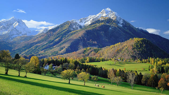 图片[2]-2025年那些为个人工作心得报告怎么写发愁的人注意了-青裳云资料