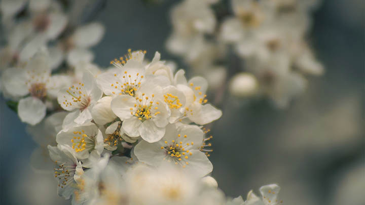 深夜刷到几句生活心得短句，瞬间治愈了精神内耗-青裳云资料