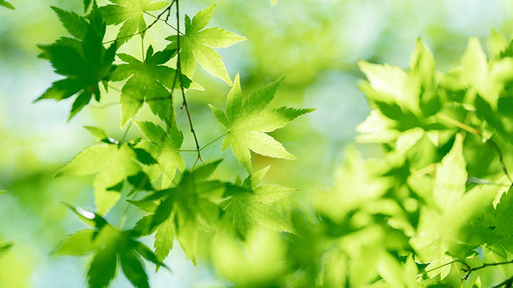 图片[2]-2025年工作心得：踏实做事与聪明借力，你选哪个？-青裳云资料