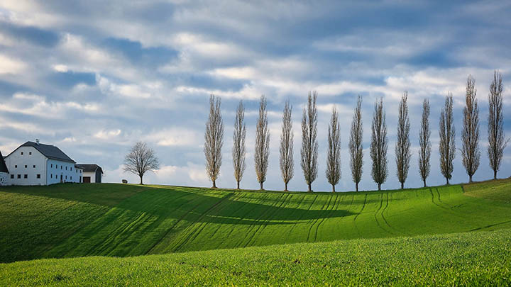 图片[2]-实操过四十个样板，生活妙招大全教程简单才是王道-青裳云资料