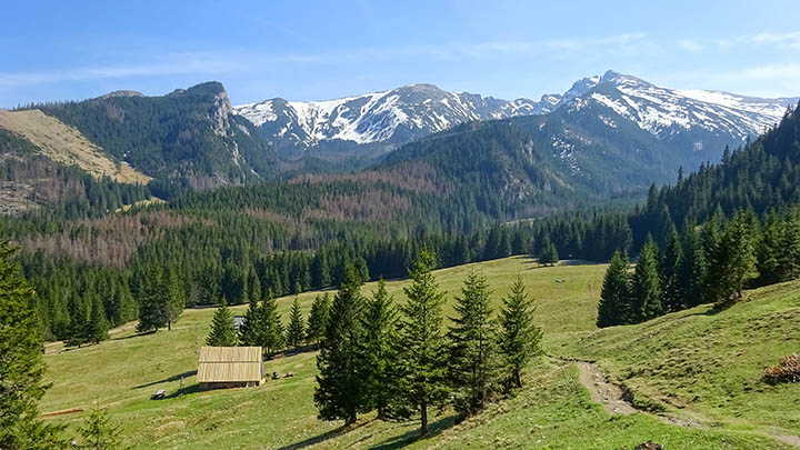 深度复盘与盲目前行，2025年哪种工作感悟更扎心？-青裳云资料