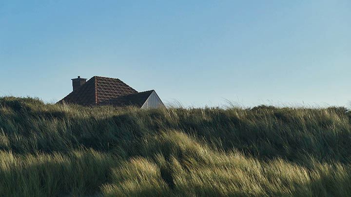 试了100天没学会，才发现2025年夸克的生活妙招有多神？-青裳云资料