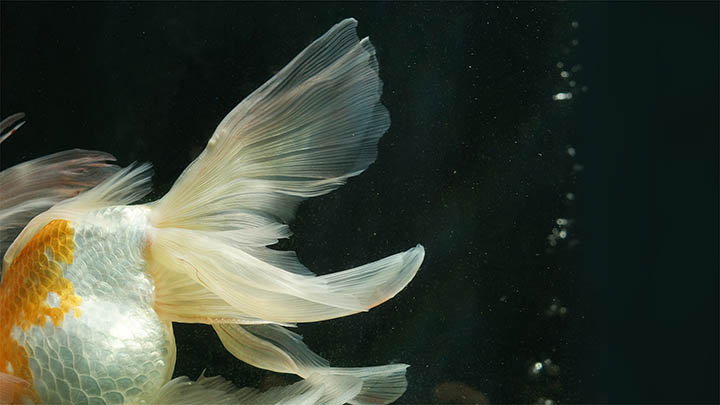 图片[2]-成败得失与职场进退，哪句工作心得最精辟？-青裳云资料
