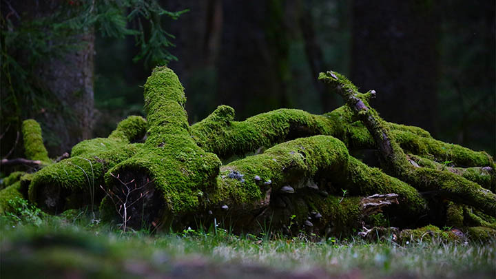 阿姨教一招，去油去污垢亮了-青裳云资料