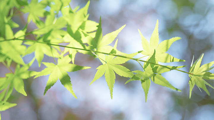 图片[2]-那些不懂得生活心得小贴士的人注意了-青裳云资料