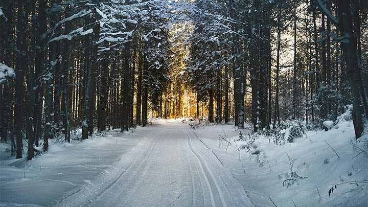 图片[2]-那些在2025年搞办公室政治的同事要注意-青裳云资料