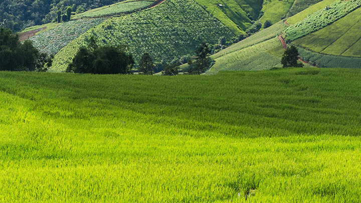 我用了3年，得罪了4个同事，才懂相处潜规则-青裳云资料