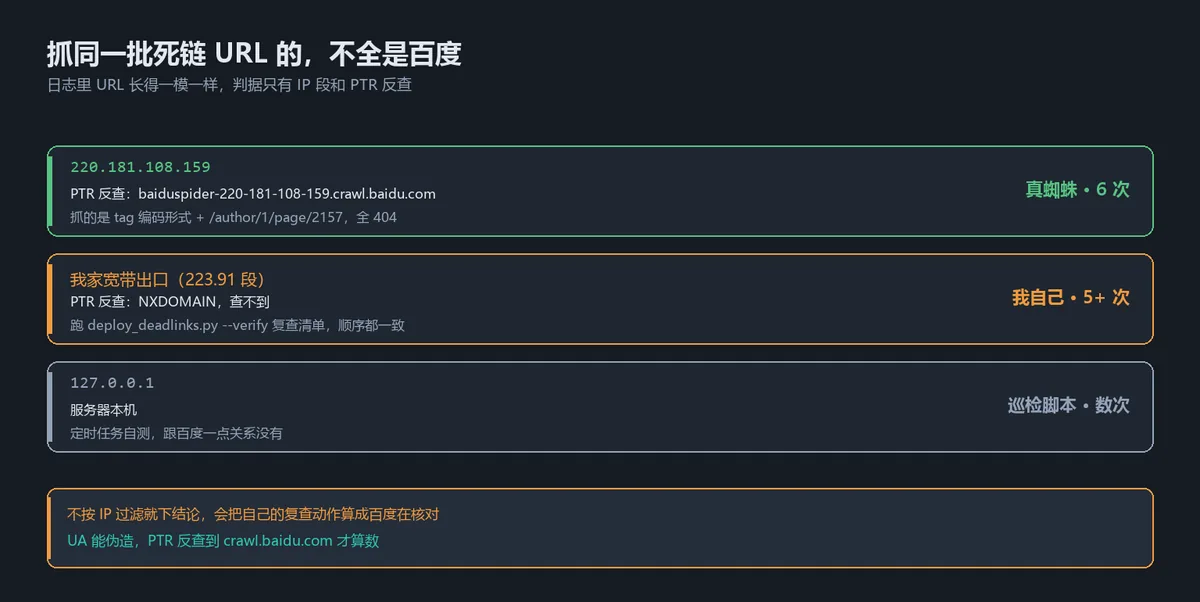 同一批死链 URL 的三种请求来源：真蜘蛛、我自己的出口、服务器本机